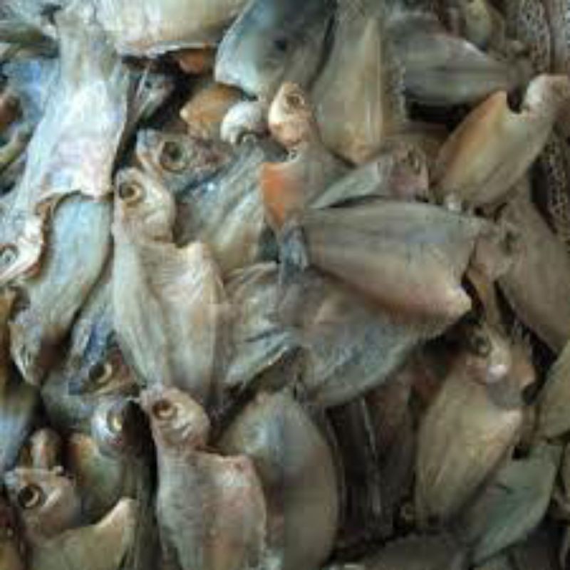 Ikan Asin Sepat Kecil/Sepat Rawa 1 Kg
