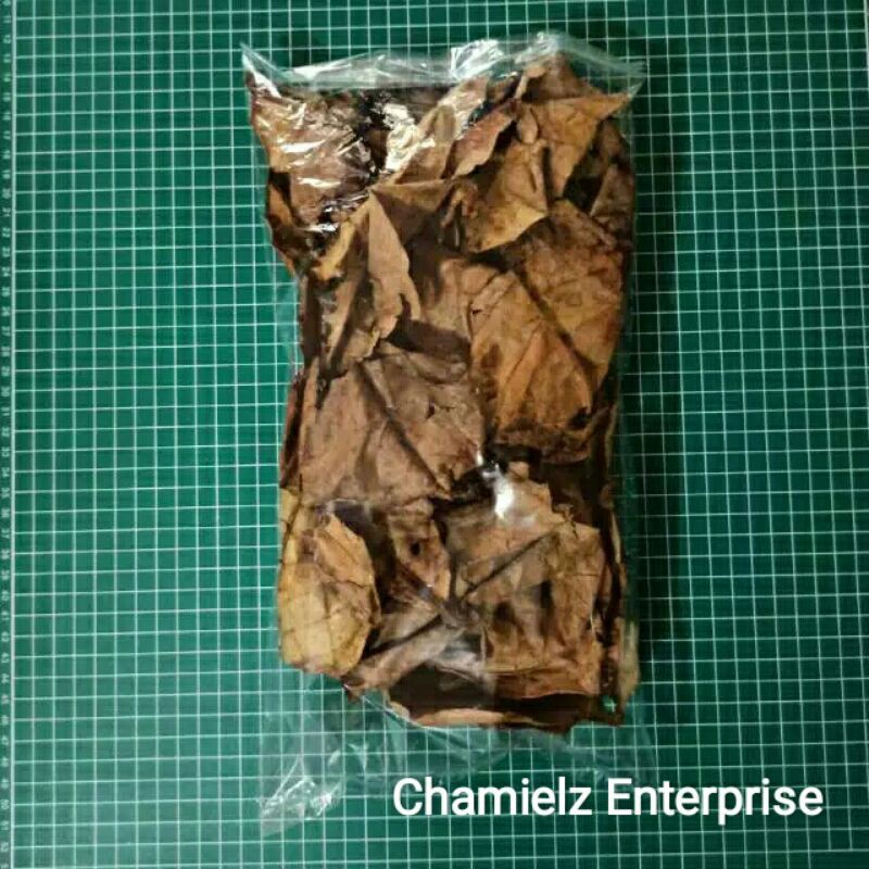 

Daun Ketapang Kering