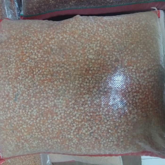 78 Gambar Bebek Ayam Burung Dara Gratis Terbaik