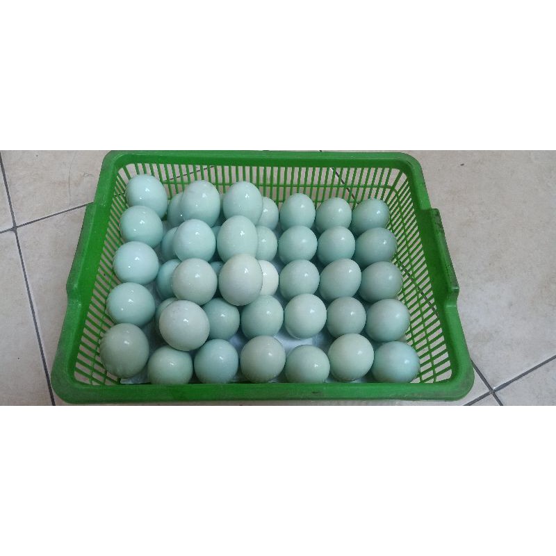 

Telur Asin