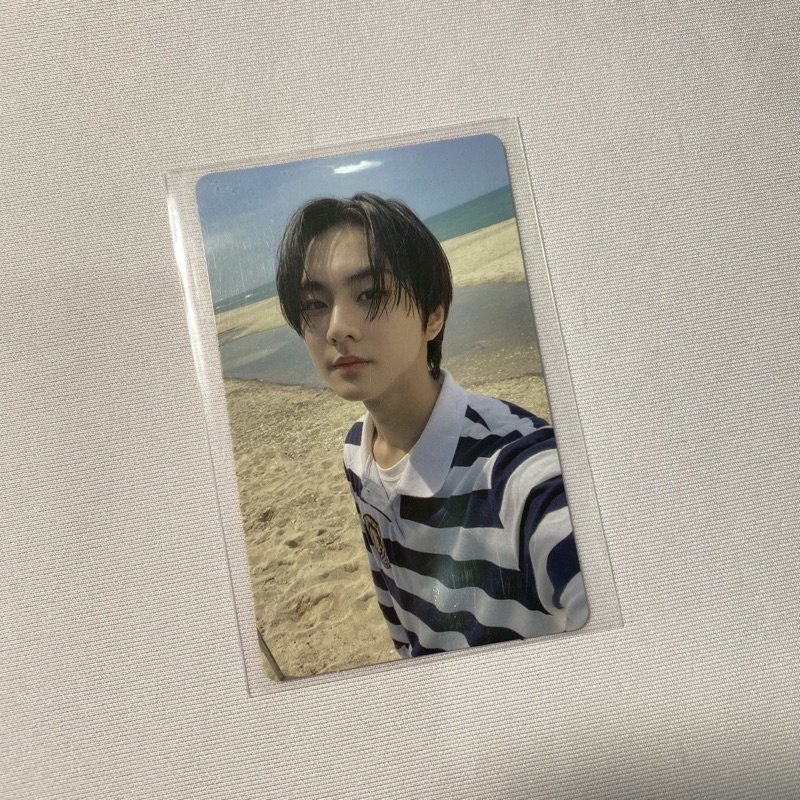 enhypen jungwon pc bene tamed dashed td