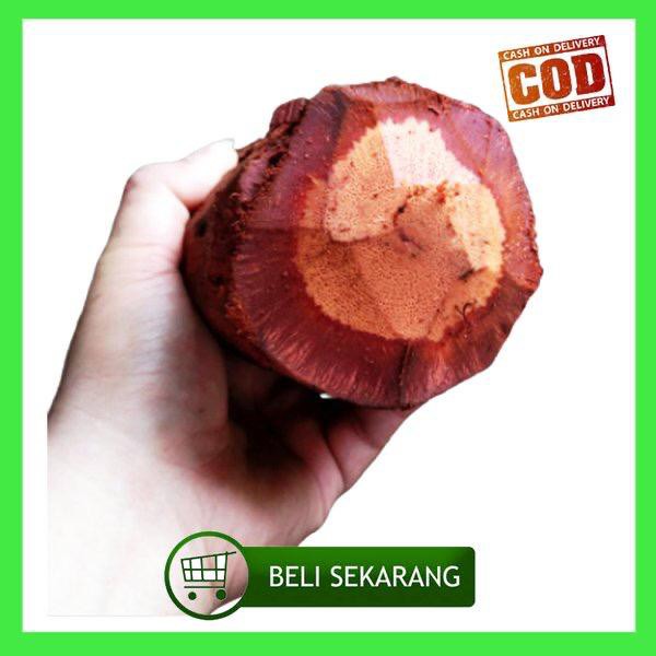 

Terlaris Akar Kayu Bajakah Tunggal Basah Asli Terbukti Best Seller Mengobati Penyakit Kanker Tumor