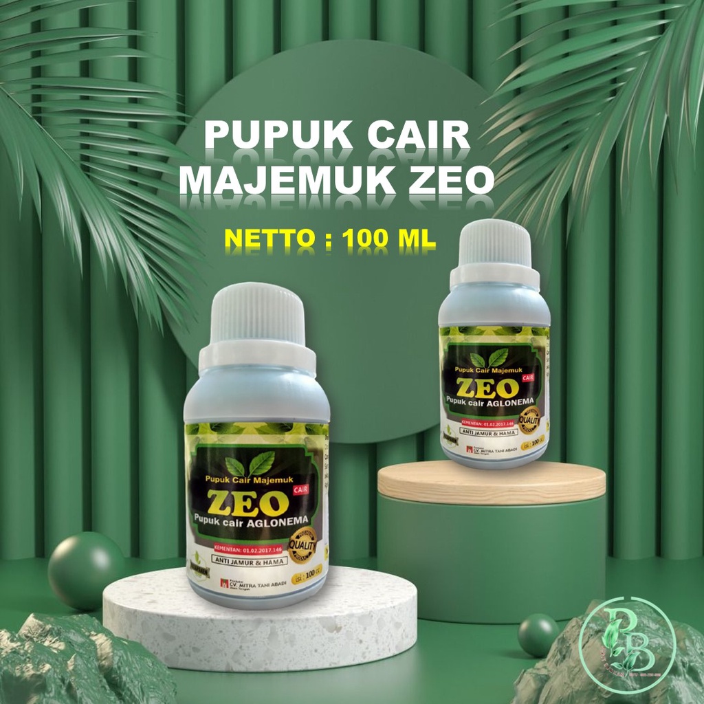 Pupuk aglonema golden hope yang bagus, Nutrisi Akar tanaman aglaonema Adelia