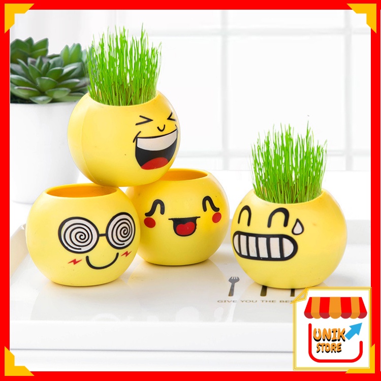 UNIK - 8074 Tanaman Hias Rumput Emoji / Vas Bunga Emoticon Emoji / Pot Emoji Emoticon / Pot Bunga Mi