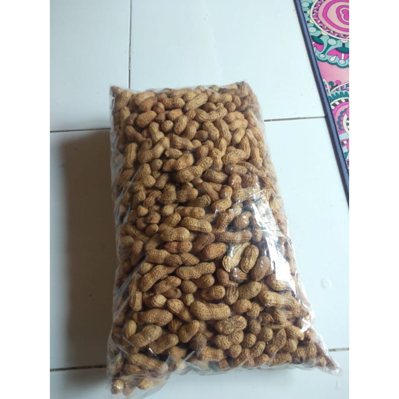 

Kacang kulit sangrai Berat 1.4 KG