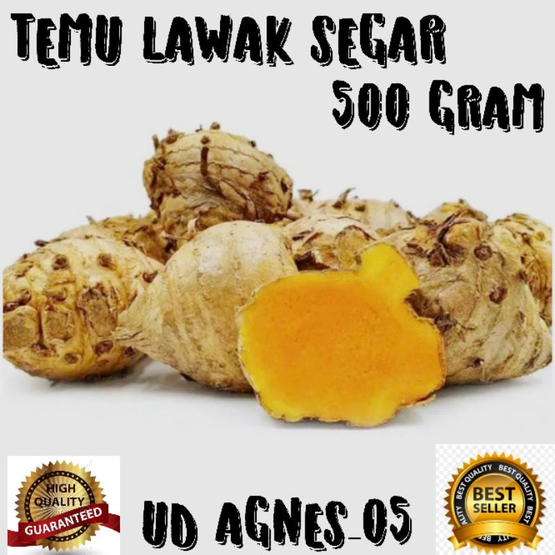 

temulawak segar 500 gram