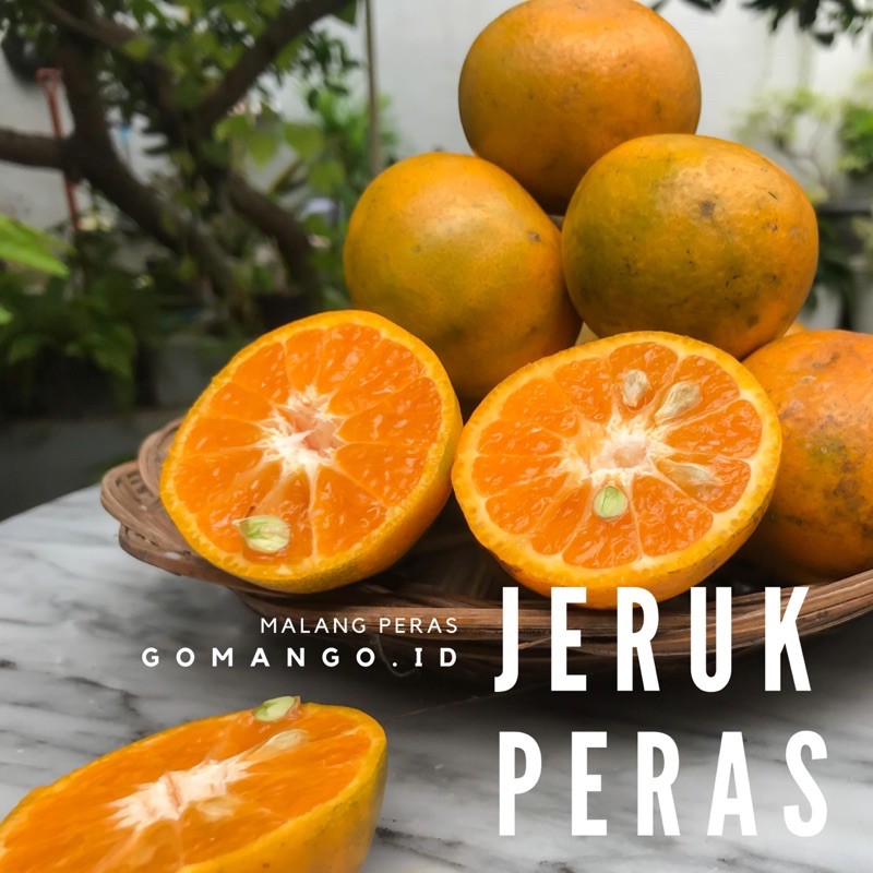 

JERUK MALANG MURAH 1kg