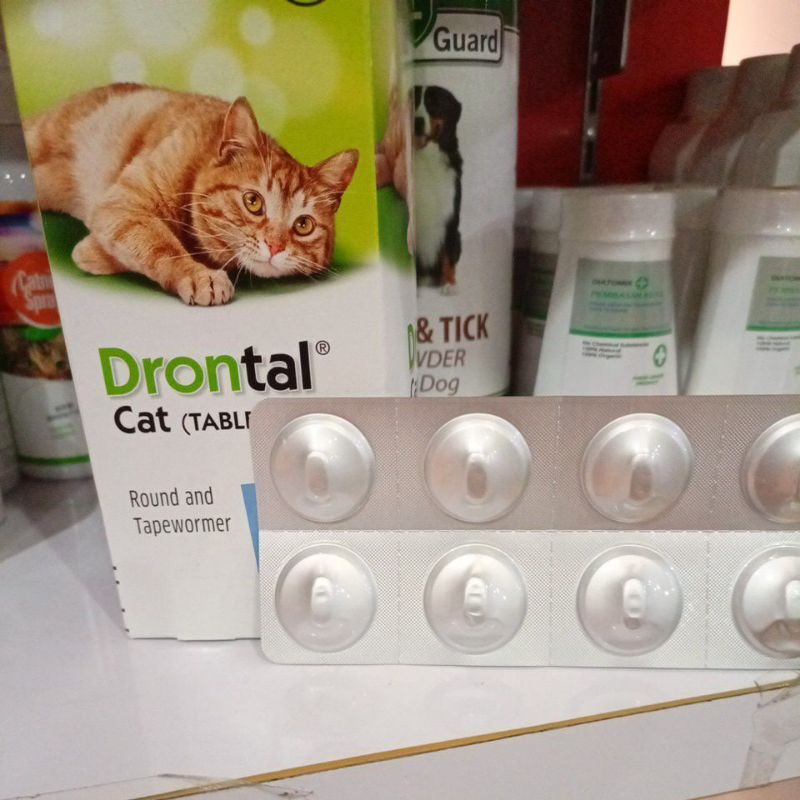 Obat Cacing Kucing DRONTAL cat per tablet / catyzole obat cacing murah