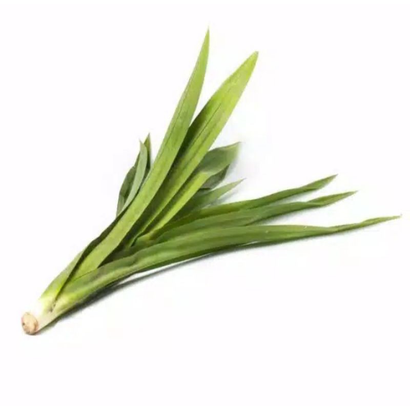 

pandan wangi per 1 ikat murh