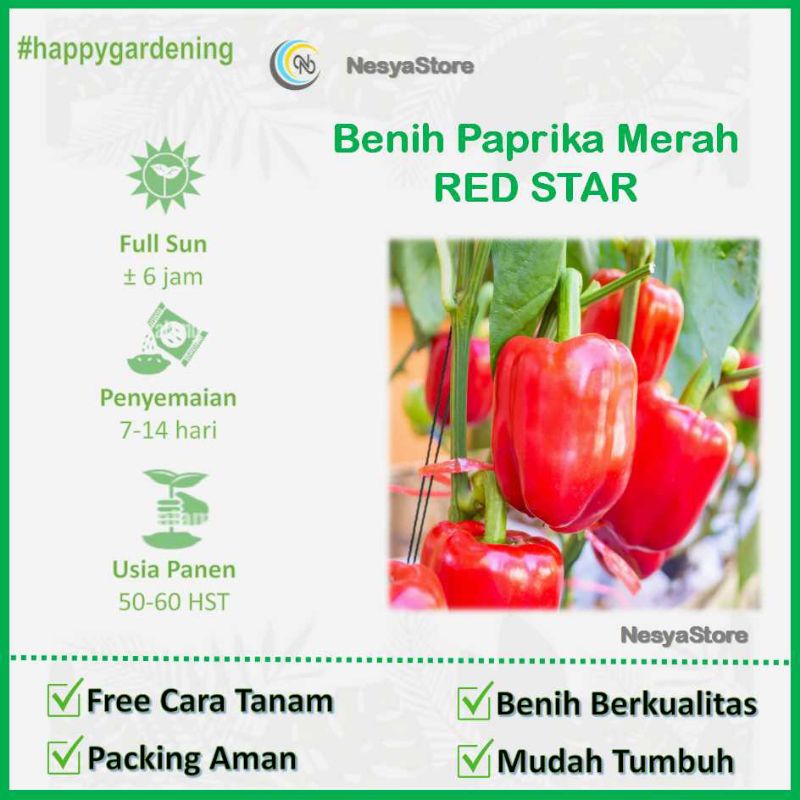 2 Benih Biji Paprika Merah RED STAR F1