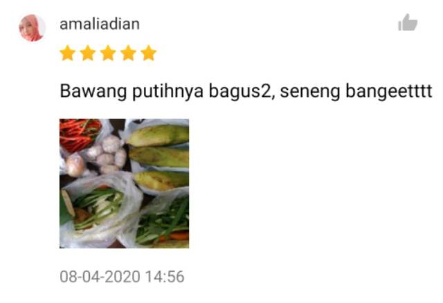 KIRIM INSTAN Bawang Putih Banci/Kating Kering Segar 200gr