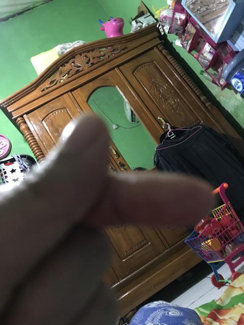 Bibit Tanaman Kelengkeng New Kristal / Wusan (tinggi 40-60 Cm)