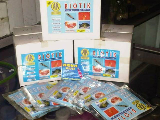 Obat ikan luka bakteri karantina AKARI AA BIOTIK 5GR