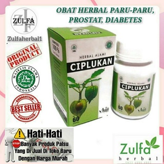 Obat Paru paru Diabetes dan Prostat BPOM Kapsul Ciplukan