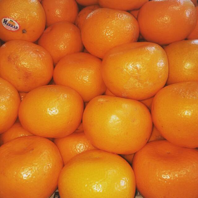 Jeruk kino mandarin /pakistan