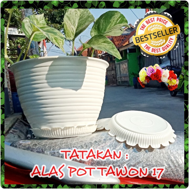 TATAKAN ALAS TAWON 17 PUTIH MERAH BATA BY GARDEN OF LOVE UNTUK POT TAWON 18 21 PUTIH POT PIRUS TAWON