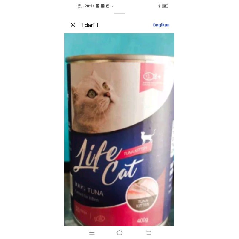 

pakan kucing cat food life cat basah kitten 400gr