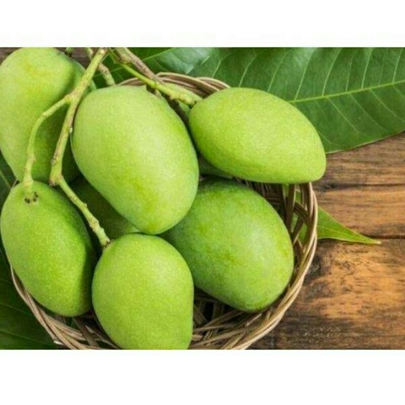 

MANGGA MUDA 250Gram TERMURAH SUMEDANG
