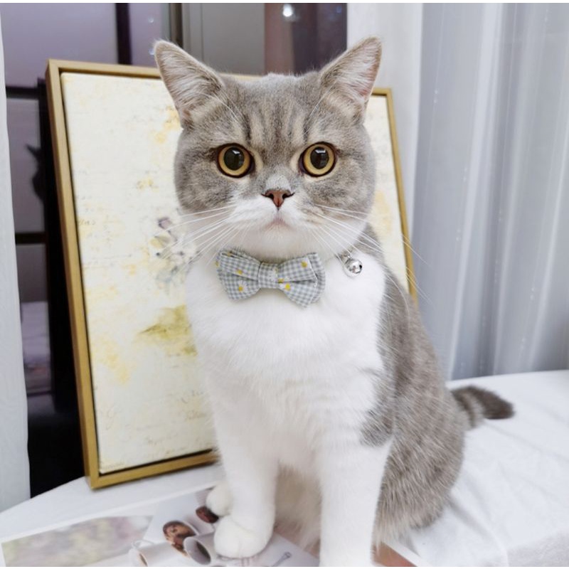 Kalung Kucing/Anjing Model Pita+Lonceng / Aksesoris Hewan Peliharaan / Kalung Kucing Pita