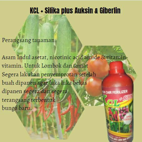 Pupuk Cair KCL + Silika plus Auksin & Giberlin 1 Liter