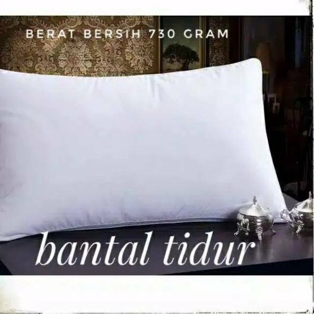 (PAKET)BANTAL/GULING TIDUR KEPALA DAKRON HOTEL