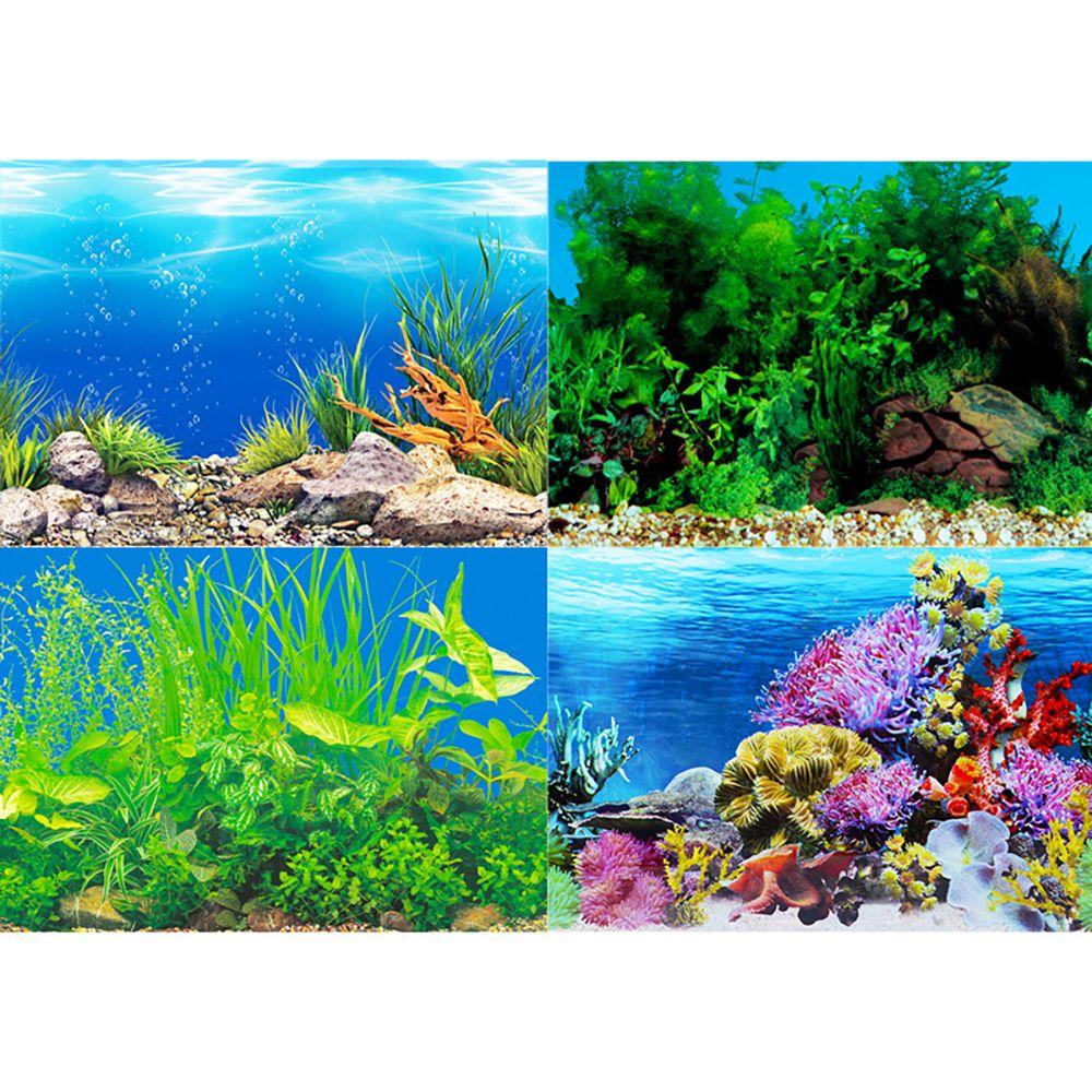 Rebuy Aquarium Decor 1pcs Menebal Untuk Tangki Ikan Duble Sisi Anti Luntur Stiker Pemandangan