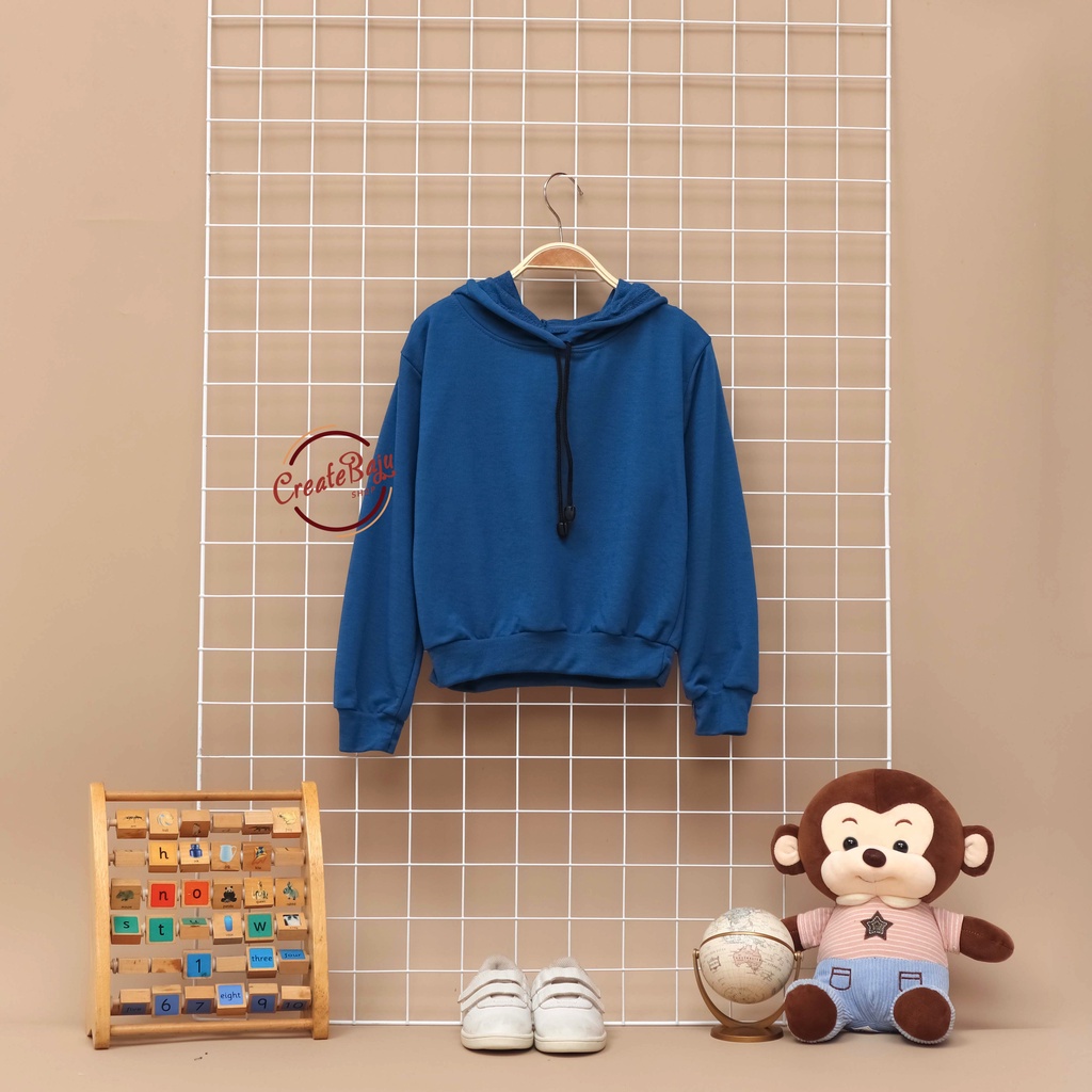 JAKET HOODIE ANAK UNISEX POLOS BIRU BABYTERRY LENGAN PANJANG FASHION TERMURAH JAKET ANAK POLOS