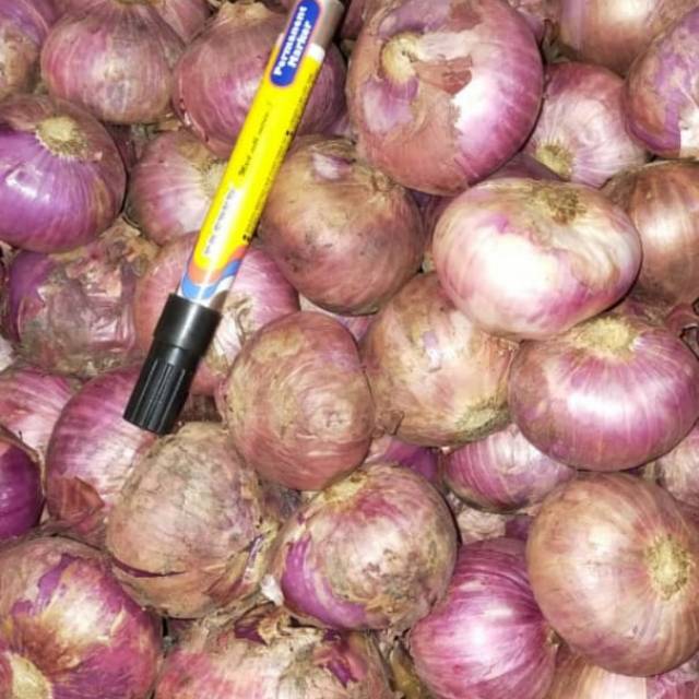

Bawang merah jumbo atau bombay merah