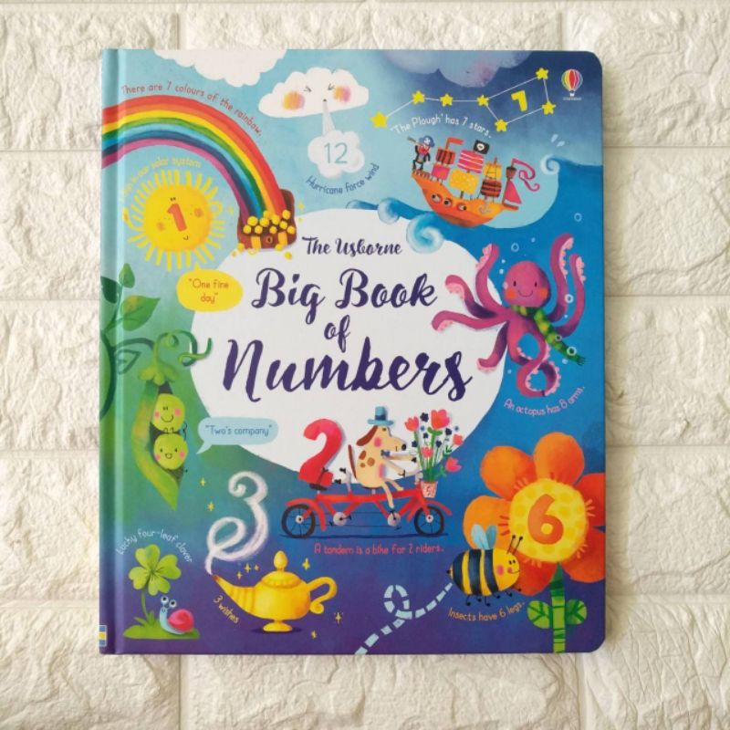 Usborne Lift The Flap numbers.