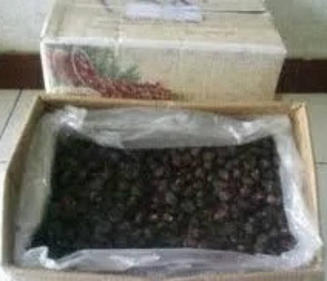 Kurma Black Sayer, 10 Kg