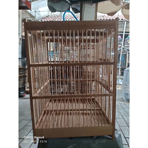 sangkar kotak kayu pleci mentahan 20X20 CM