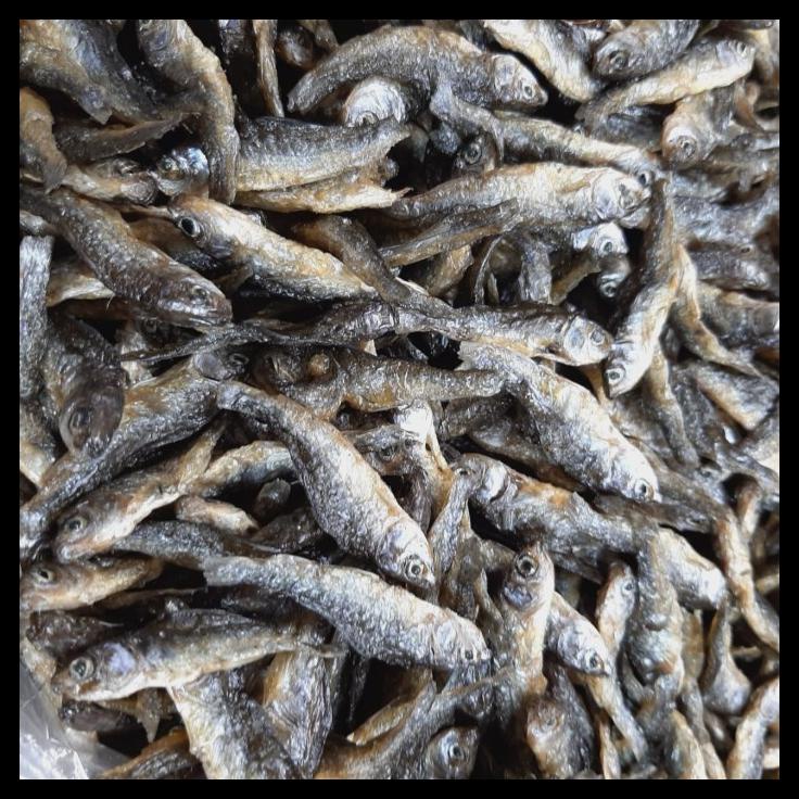 

TERMURAH IKAN BILIS PADANG ASLI DANAU SINGKARAK 500GR !!