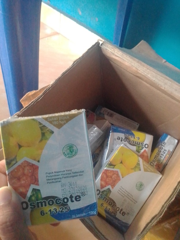 Pupuk Bunga Buah Dekastar Plus Osmocote 6-13-25 100 Gr