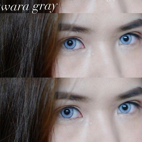 NUTWARA GREY SOFTLENS BY SWEETYPLUS / ORIGINAL THAILAND / NORMAL ONLY