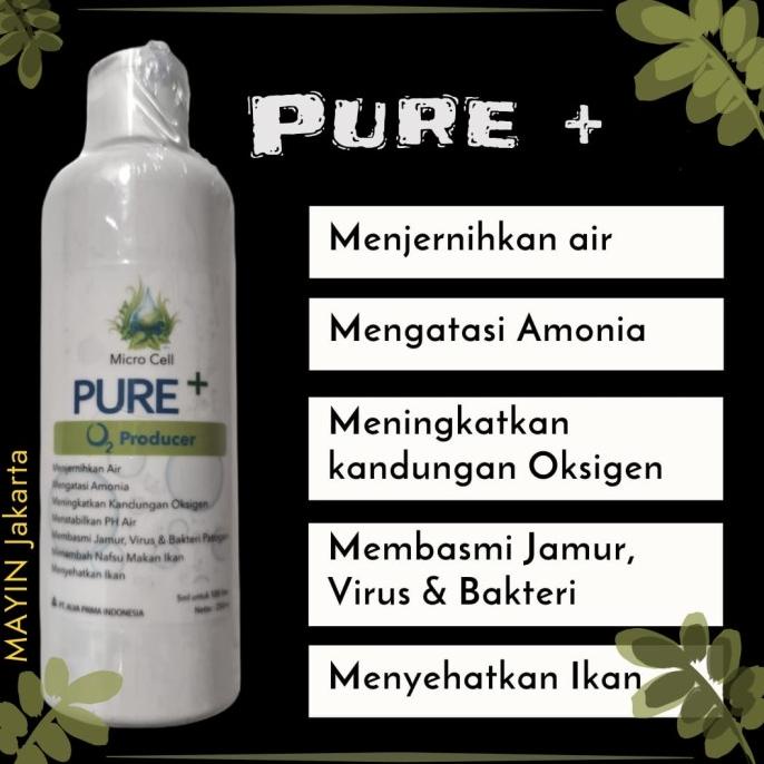 Pure+ - Pure Plus - Micro Cell - Bactery Starter
