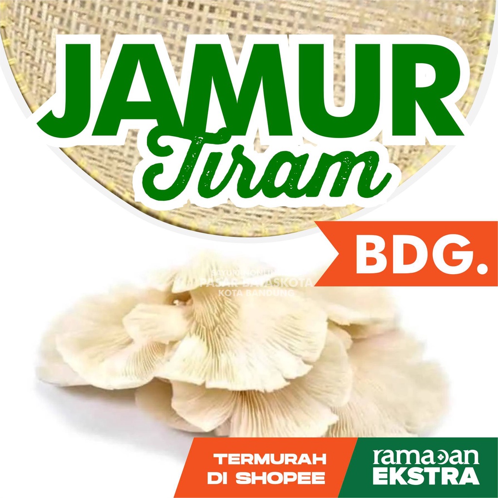 

JAMUR TIRAM SAYURAN SEGAR SAYUR FRESH BANDUNG