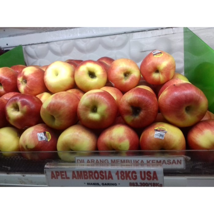 

Buah Apel Amborsia USA (900G-1KG/4-5pcs)