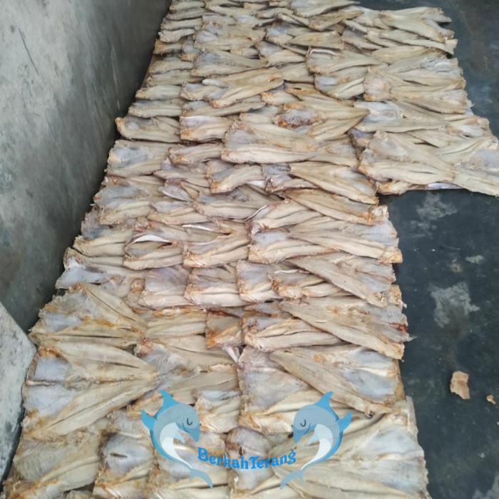 

ds201fs Jambal Roti Daging Potong Super 250Gr / Jambal Exsport Dscscv