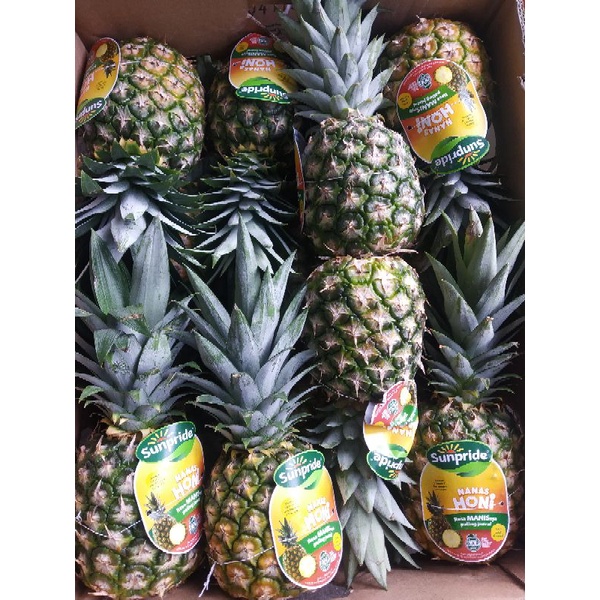 

NANAS HONI SUNPRIDE