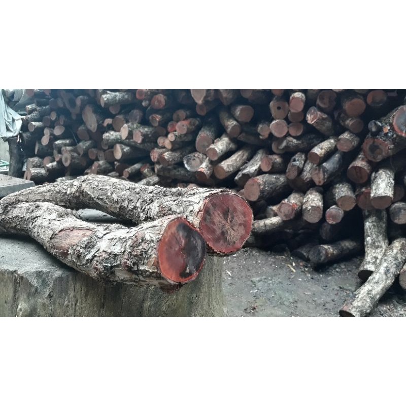 kayu stiqi/santiqi asli bahan kerajinan gagang pisau/parang/golok/pedang/keris