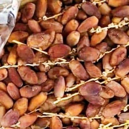 

KURMA TUNISA TANGKAI 1KG