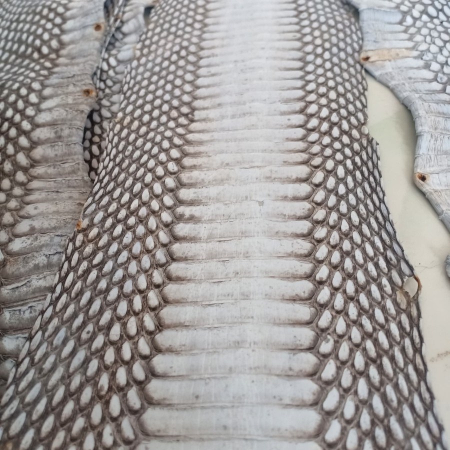 Kulit ular cobra asli soft bahan baku dompet sabuk tas - Putih