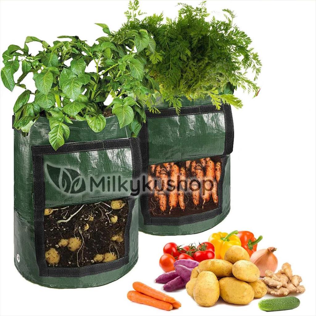 RHIZOMA PLANTER BAG EASY GROW LARGE - L - HIJAU