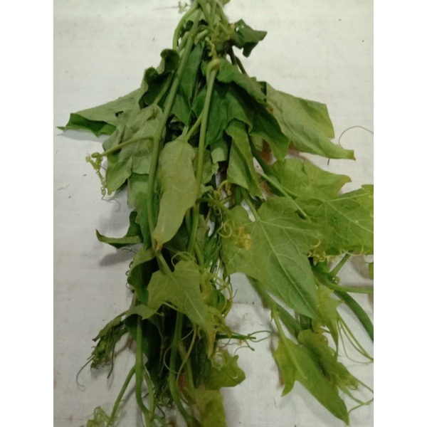 

pucuk labu /1 ikat Rp 4.000