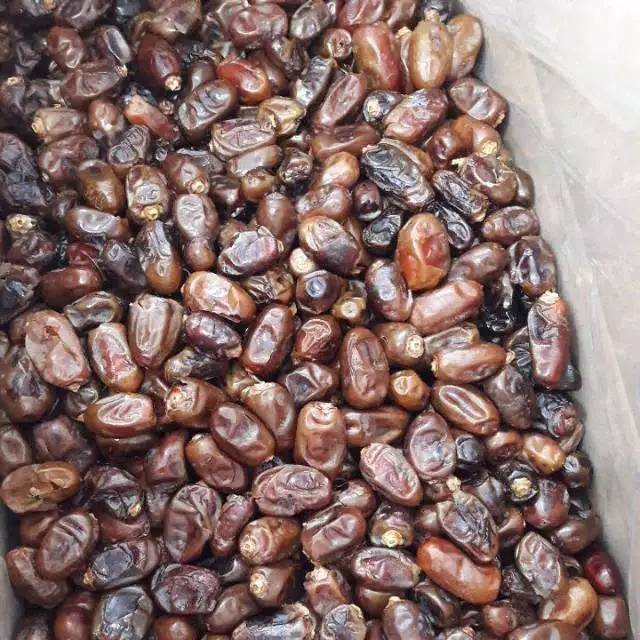 

kurma khalas