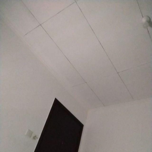 Mug Cangkir Animal Kid Inisial Huruf Abjad