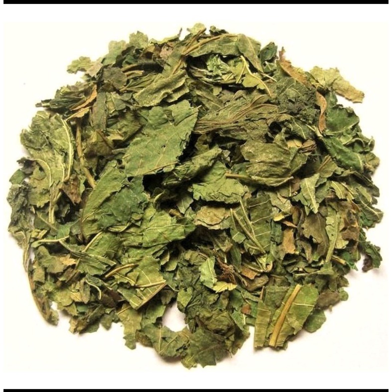 

600 G GR GRAM 桑叶 SANG YE FOLIUM MORI MULBERRY LEAF LEAVES