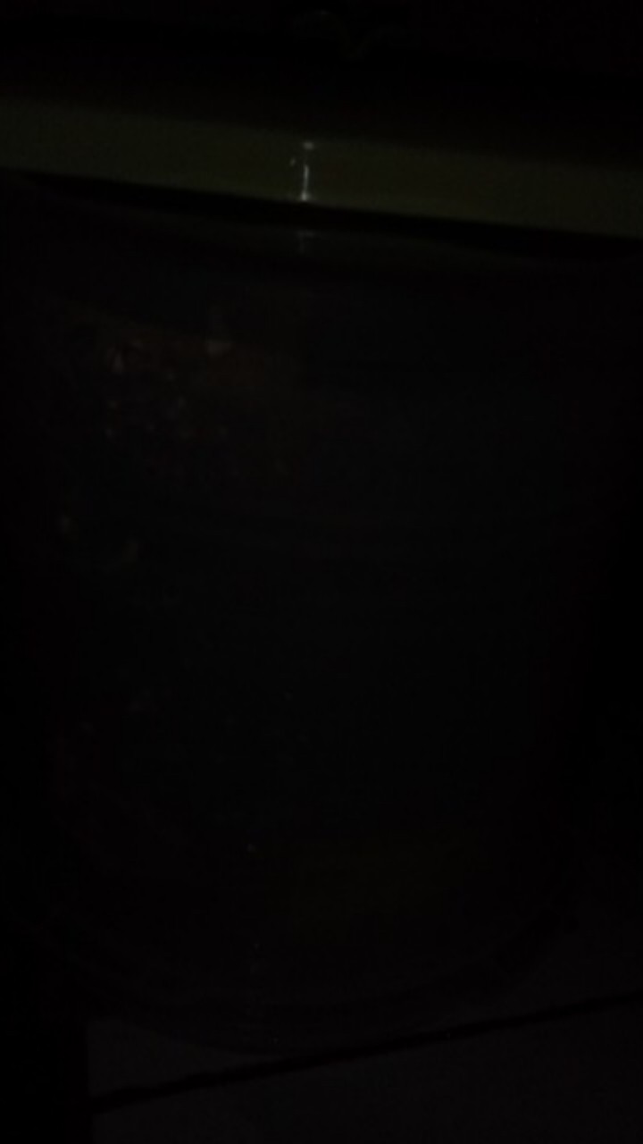 Toples Plastik 10 Liter