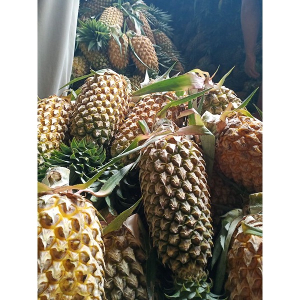 

Nanas palembang manis(1kg)/Kupas gratiss!