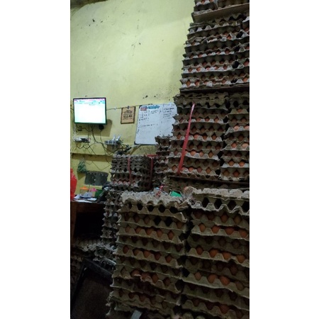 

telur ayam